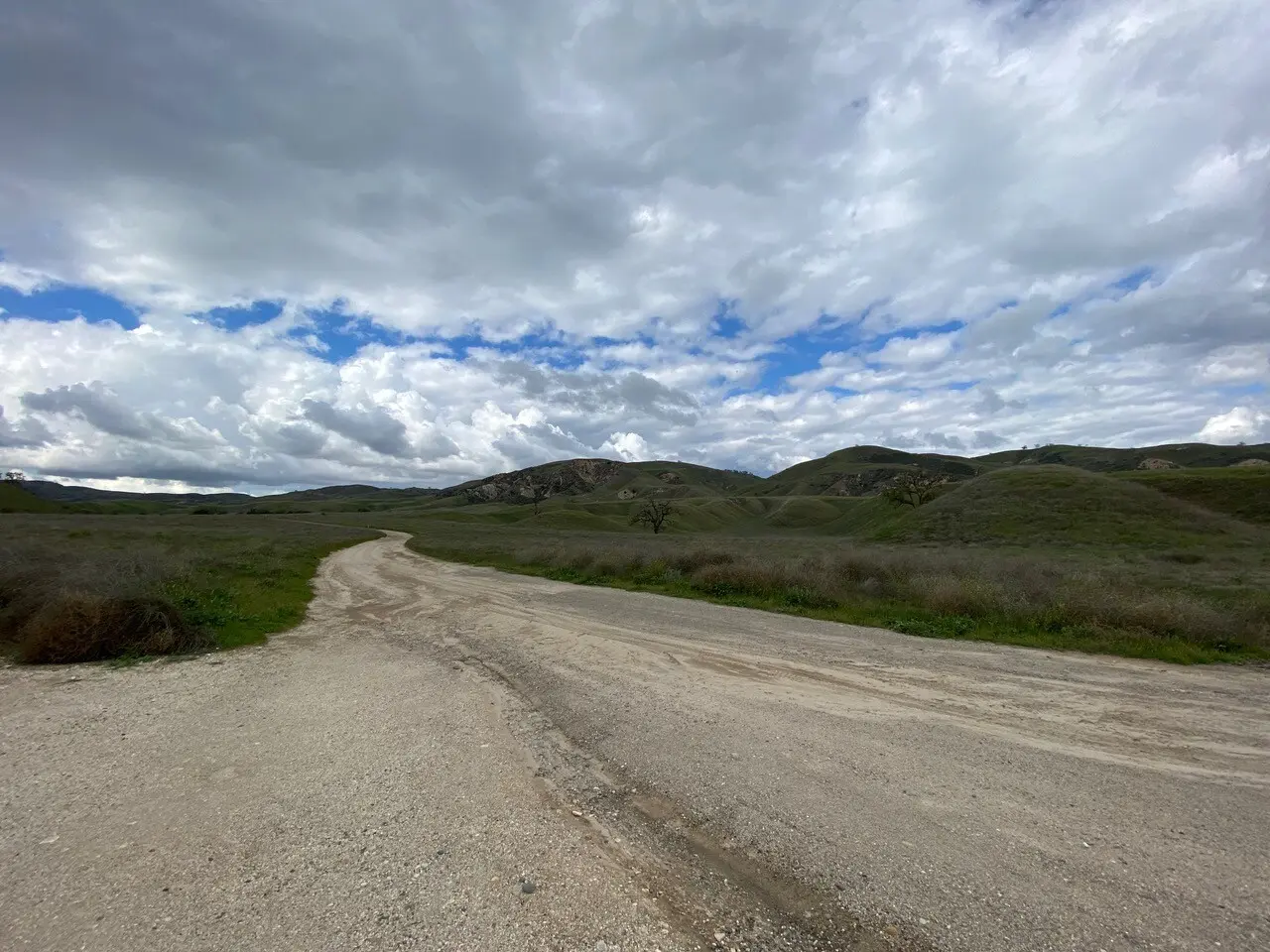 Country Roads