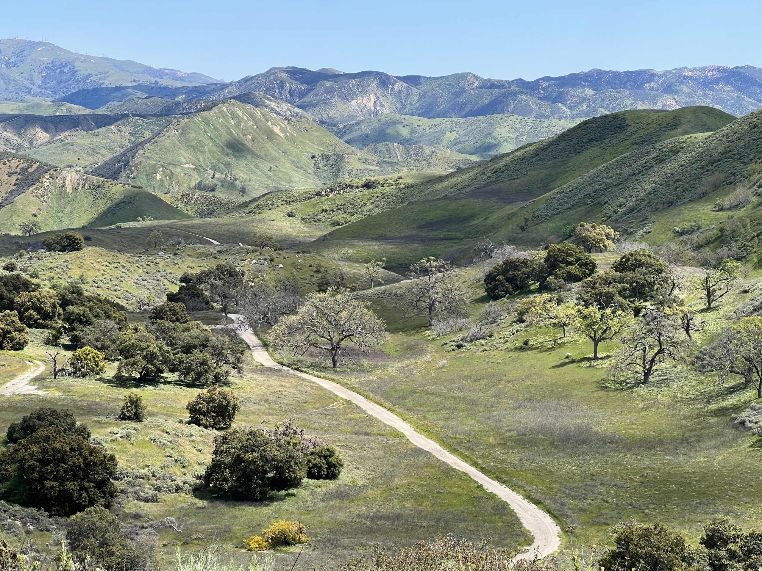 Scenic Vistas