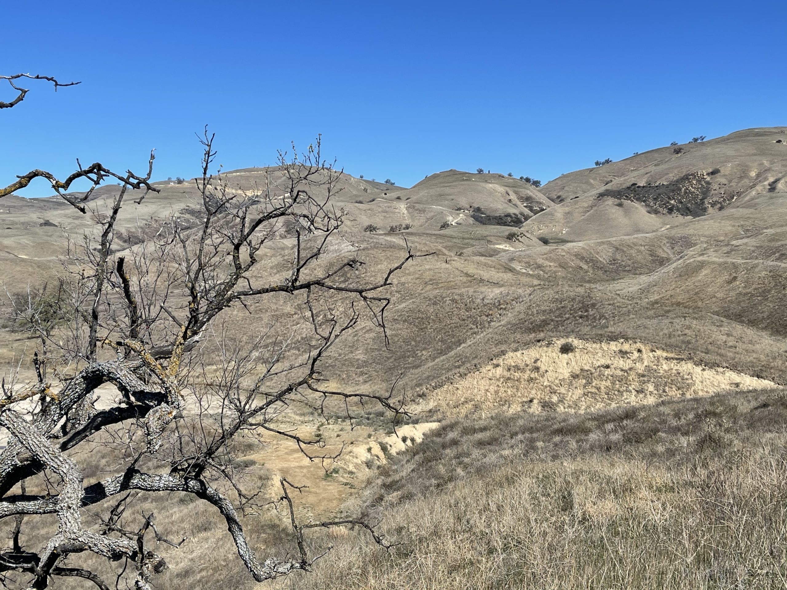 Prairies & Deserts